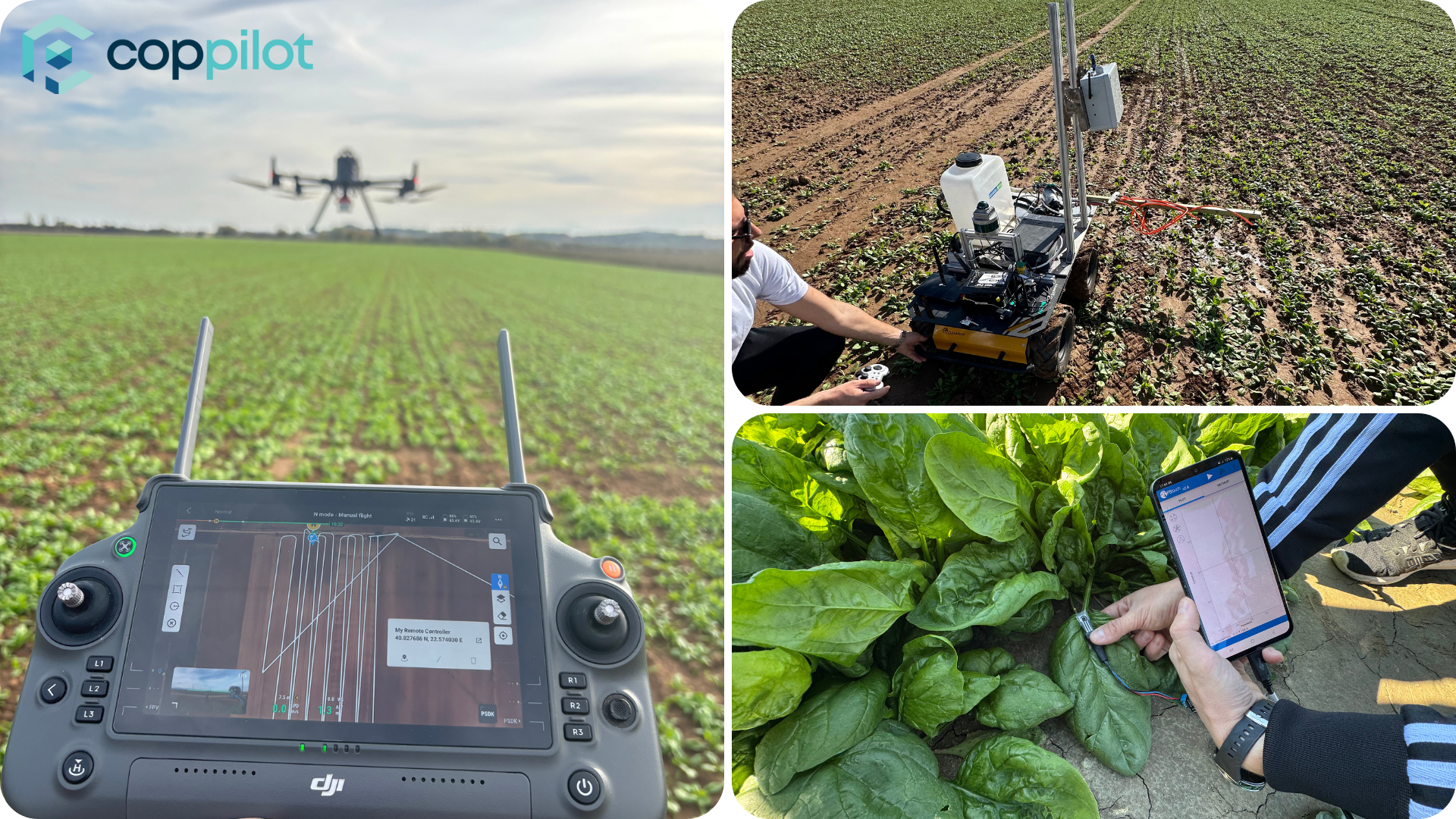 Co-pilot Blogpost (1)