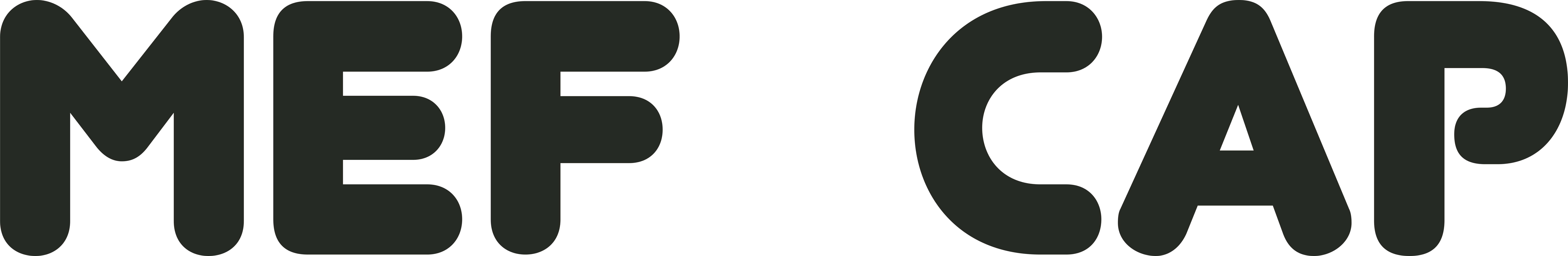 MEF4CAP logo ldw