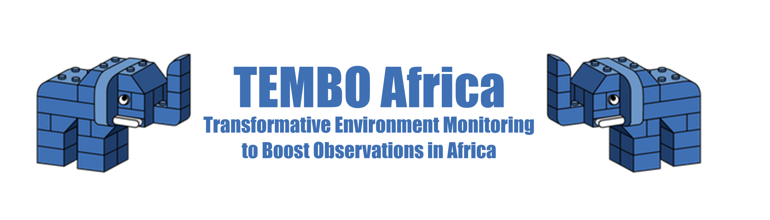 cropped-TEMBO-Africa-Logo-scaled-1